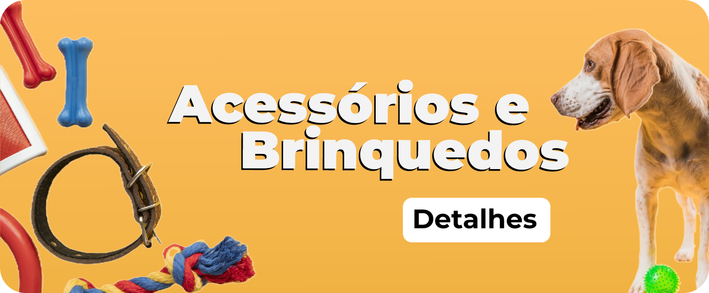 Acessorios